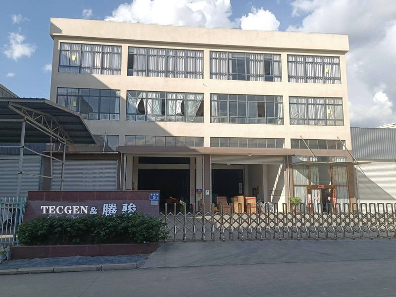 Китай FUJIAN TECGEN POWER CO., LTD. Профиль компании